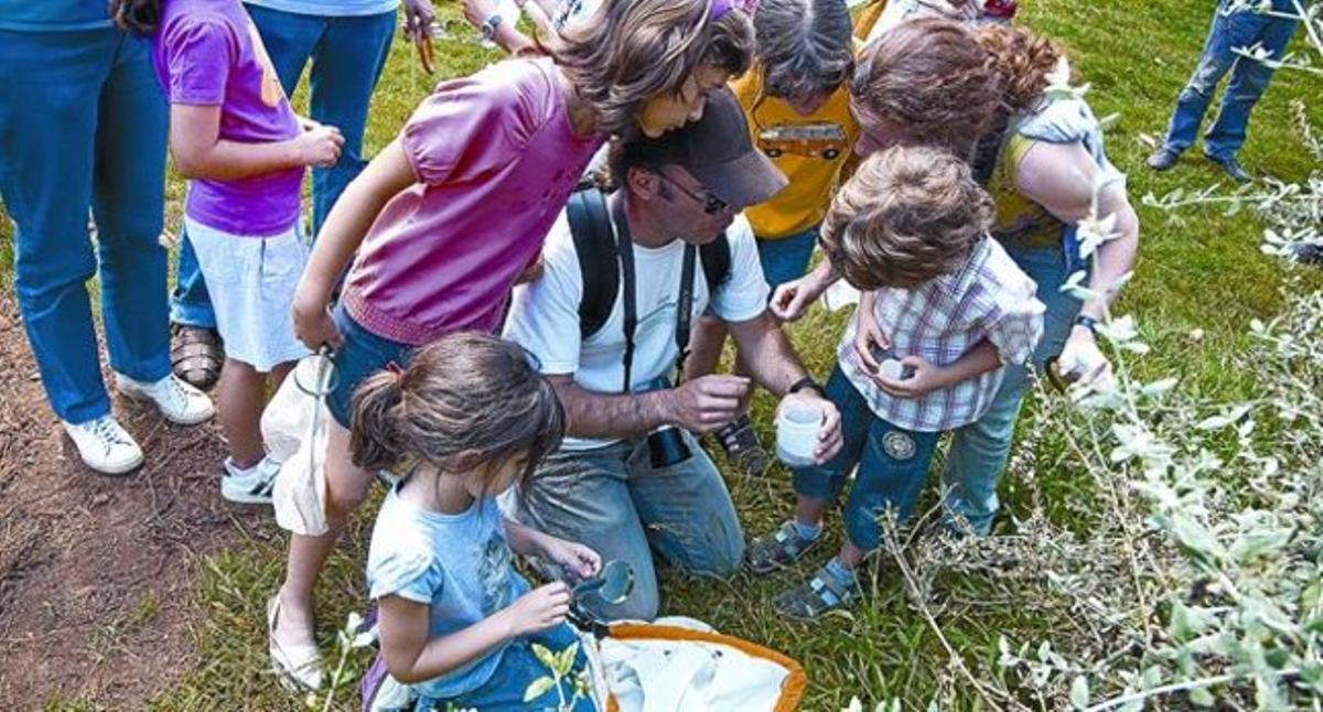 El científic Jorge Mederos (de genolls) mostra als petits investigadors alguns dels insectes caçats ahir. El científic Jorge Mederos (de genolls) mostra als petits investigadors alguns dels insectes caçats ahir.