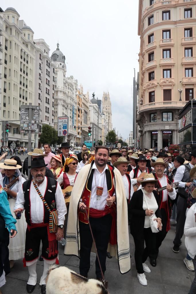 Romería y fiesta en Madrid por el Día de Canarias.