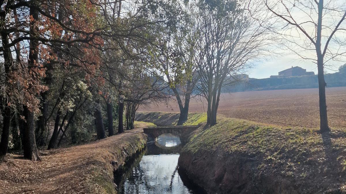 La séquia al pas pel bosc de la Sala, a Sallent.