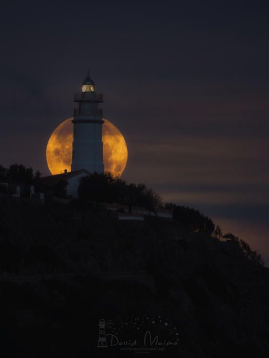 David Maimó Lázaro, el guardián de los cielos nocturnos de Mallorca