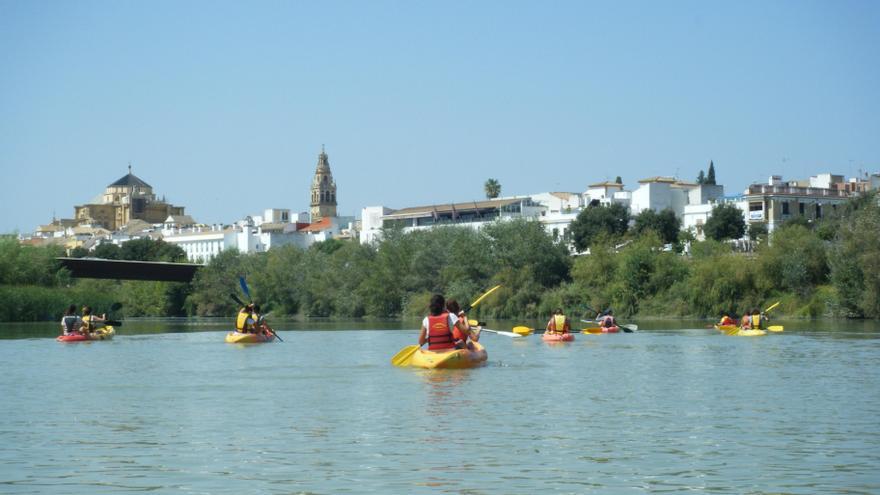 El Club de Piragüismo de Córdoba retoma los paseos en kayak por el Guadalquivir
