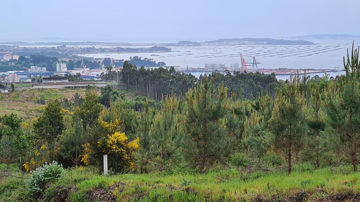 Los terrenos elegidos están en una zona elevada desde la que se observa la ría.