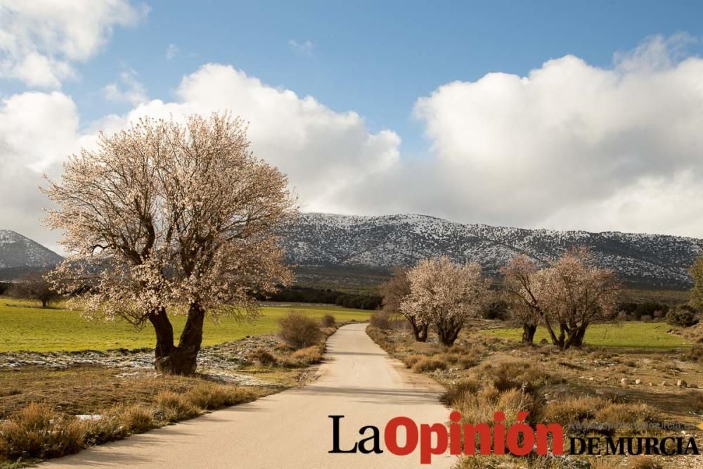 Nieve en el Noroeste