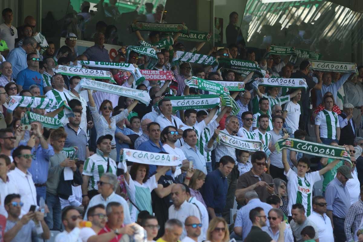 Así vivió la afición la derrota del Córdoba ante el Huesca