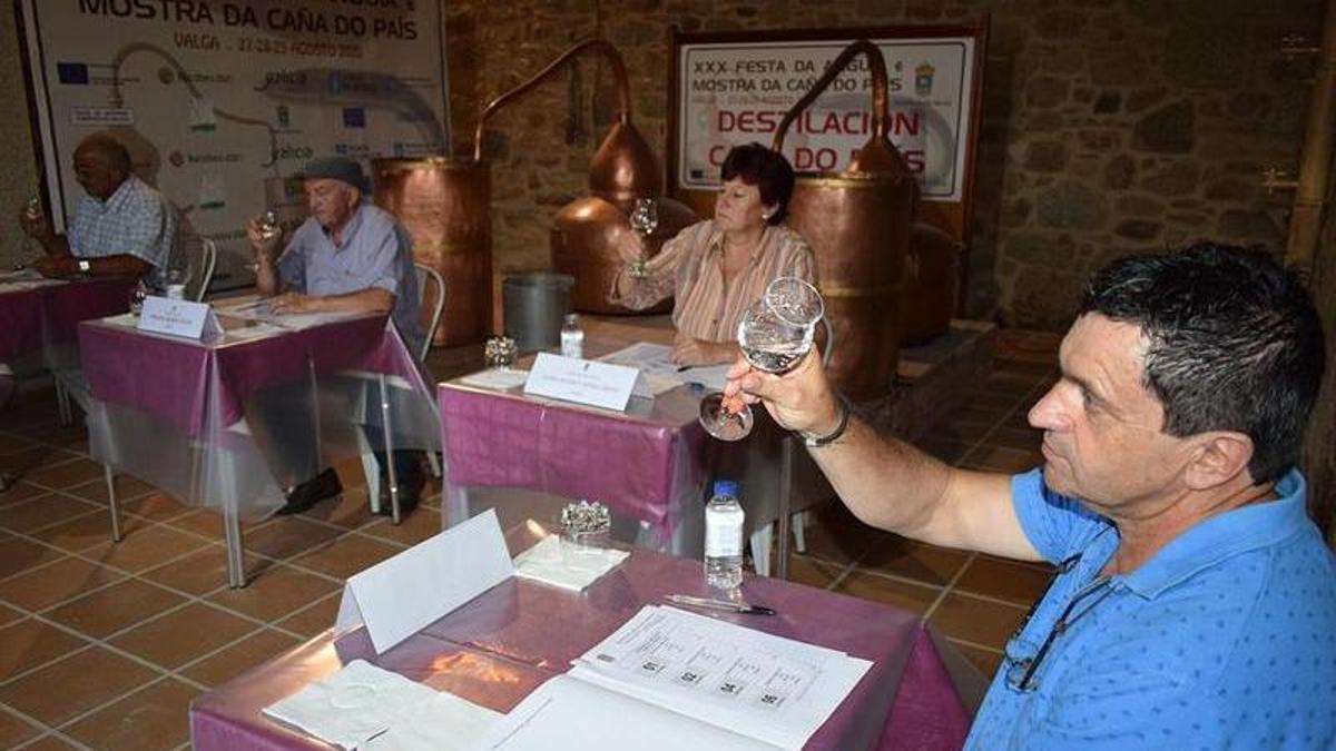 Cata de una edición anterior del certamen de Valga.