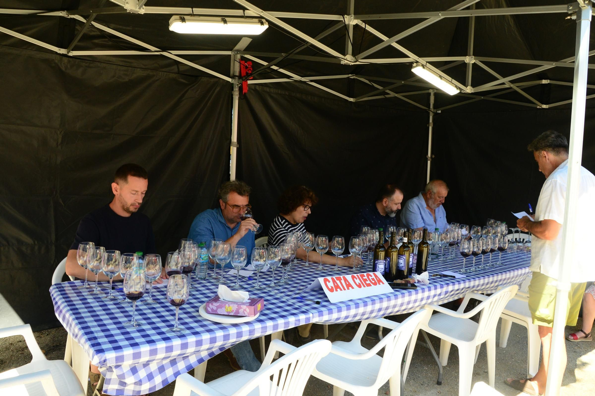 El último día de la XIX Festa do Tinta Femia de Cela