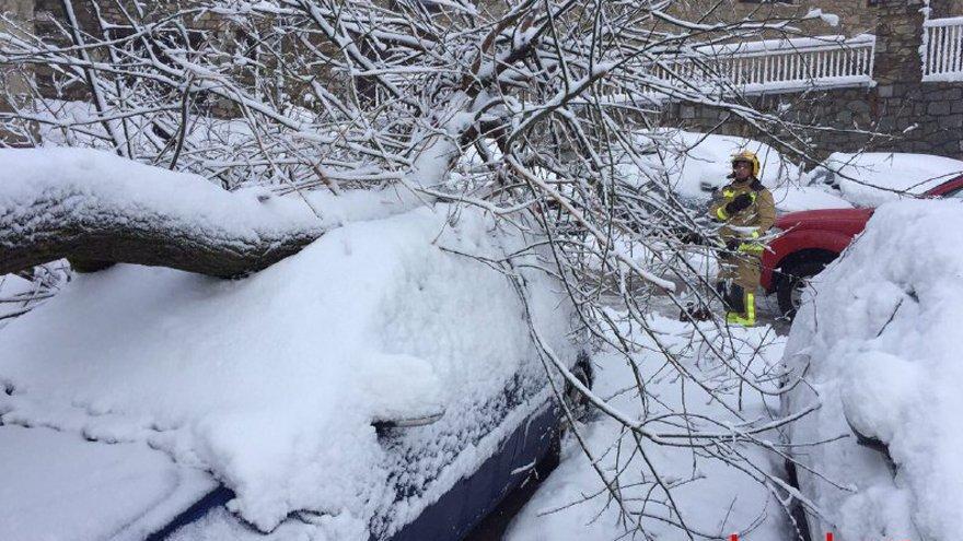 Dues branques cauen sobre quatre cotxes aparcats a Lles de Cerdanya