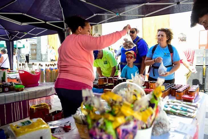 Fiesta de la manzana de Valleseco