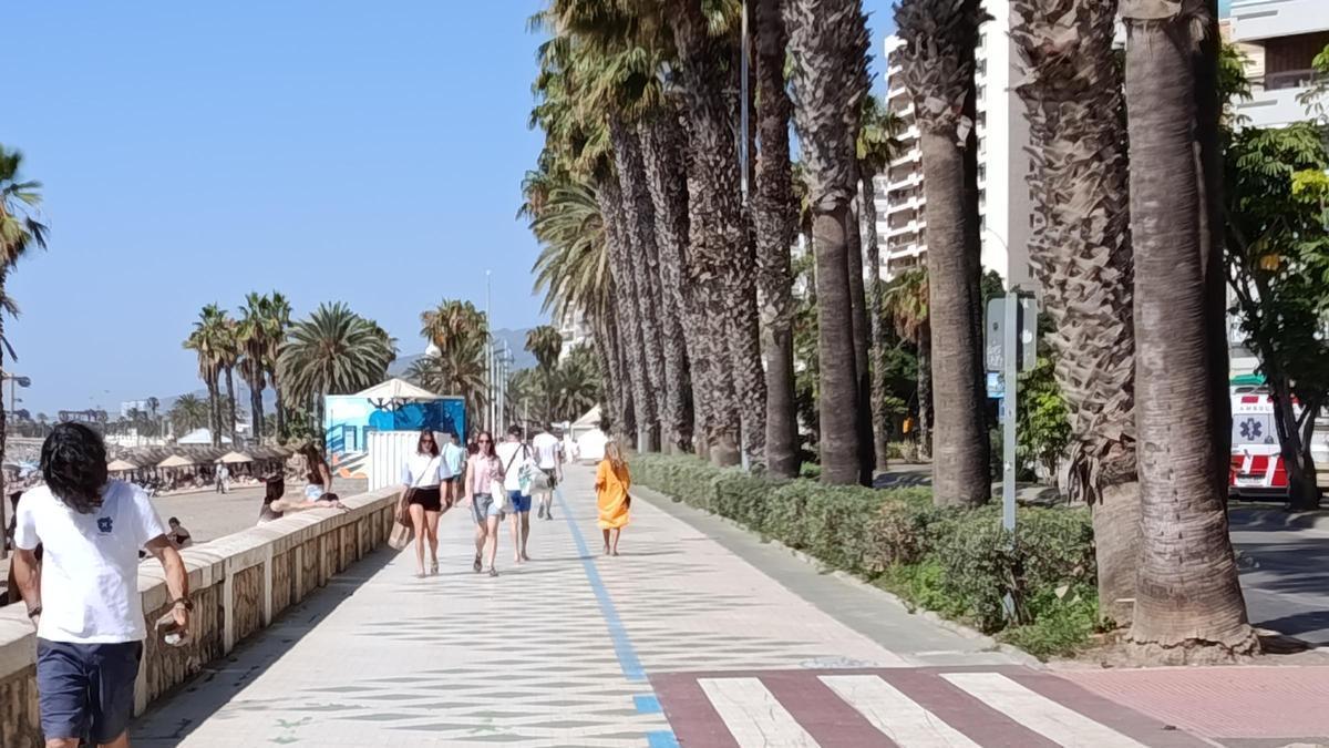 Carril bici en el paseo marítimo Pablo Ruiz Picasso.