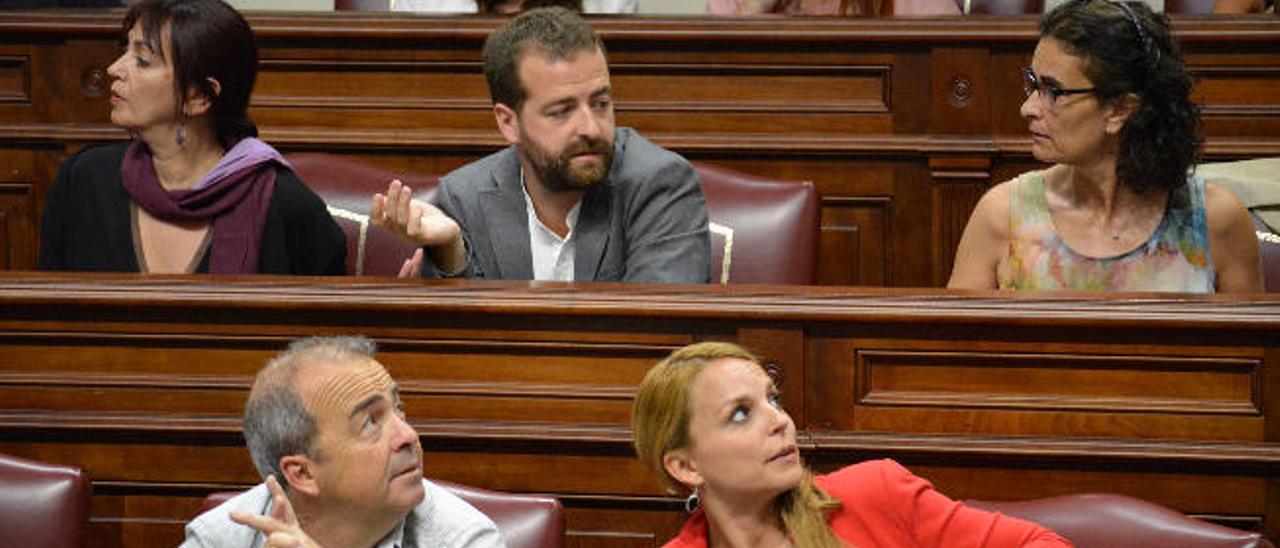 Varios diputados de Podemos en el pleno. Francisco Déniz y Noemí Santana (abajo) y María del Río (i), Juan José Márquez y Asunción Delgado, arriba.