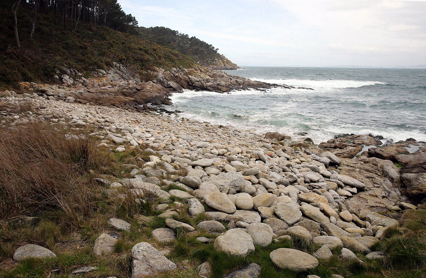 Los “ángeles” del  paraíso natural vigués