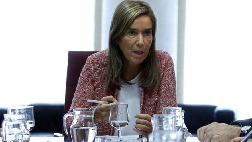 Mato comparecerá en el Congreso a petición propia para informar del ébola