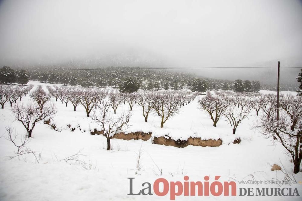 Temporal en el Noroeste (pedanías de El Moral y El