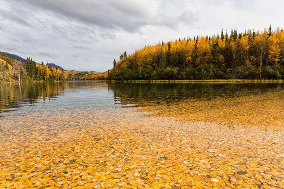 El lago Long, se encuentra en el condado de Matanuska-Susitna, en Alaska.