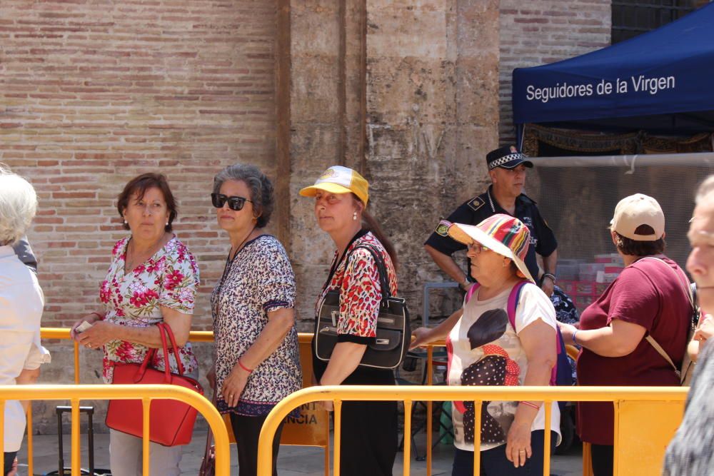 Besamanos a la Virgen de los Desamparados