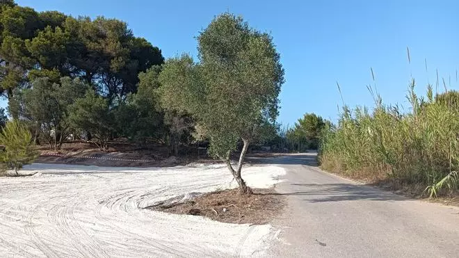 Gandia da el primer paso para eliminar el aparcamiento de la playa virgen de l'Auir
