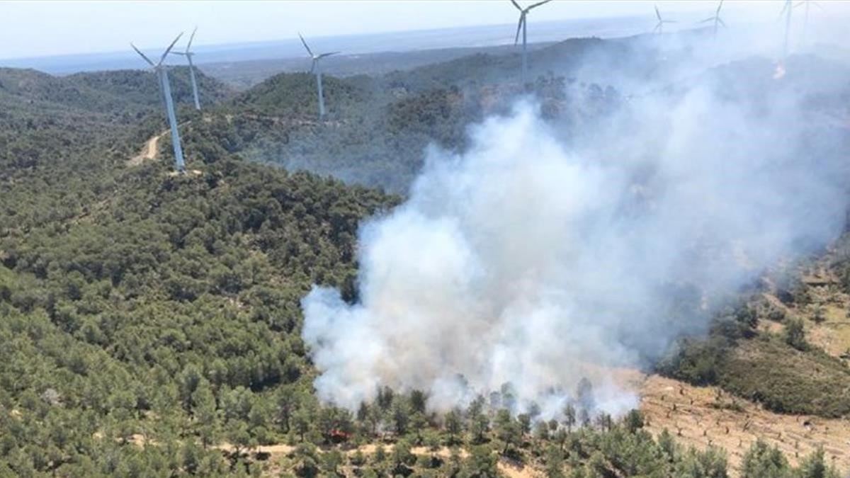 Los Bombers trabajan en un incendio forestal  en la Collada del Perelló