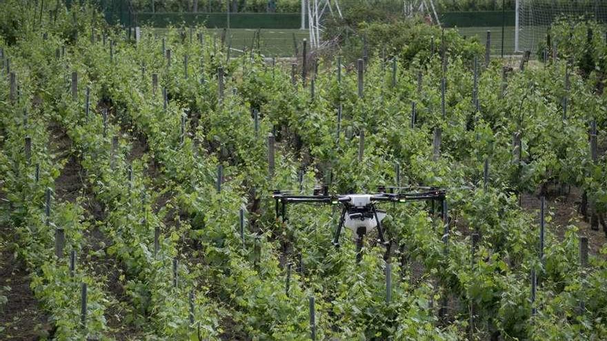 Dron agrícola en una exhibición de estos aparatos realizada en el Ribeiro ourensano.