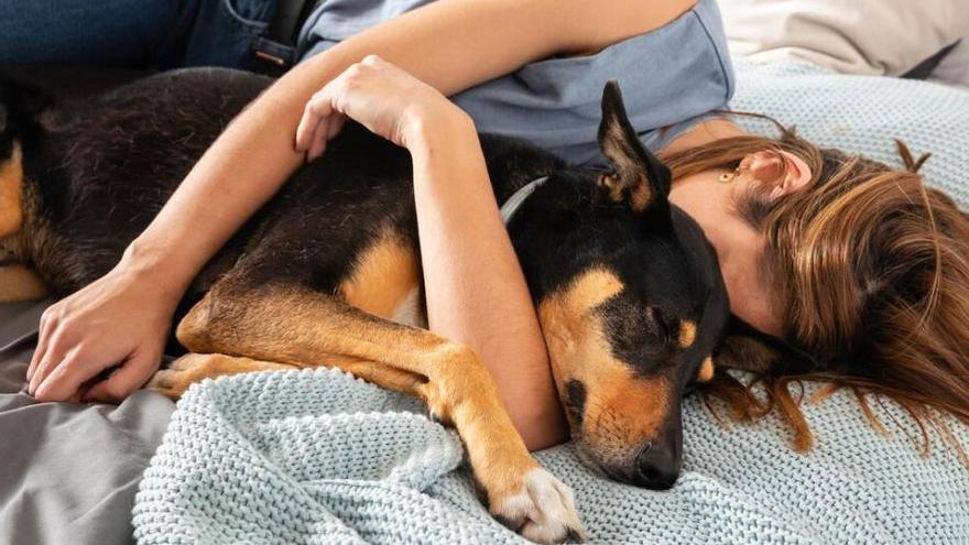 Si dorms amb el gos al llit, compte: pots contraure 3 malalties