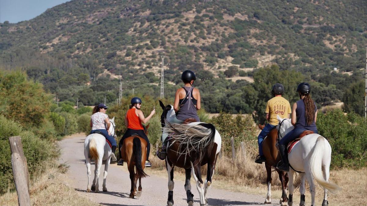 Un grupo, de paseo en los alrededores de Córdoba. 