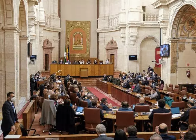Antología de caras nuevas entre los parlamentarios malagueños: solo repiten cuatro de los 17