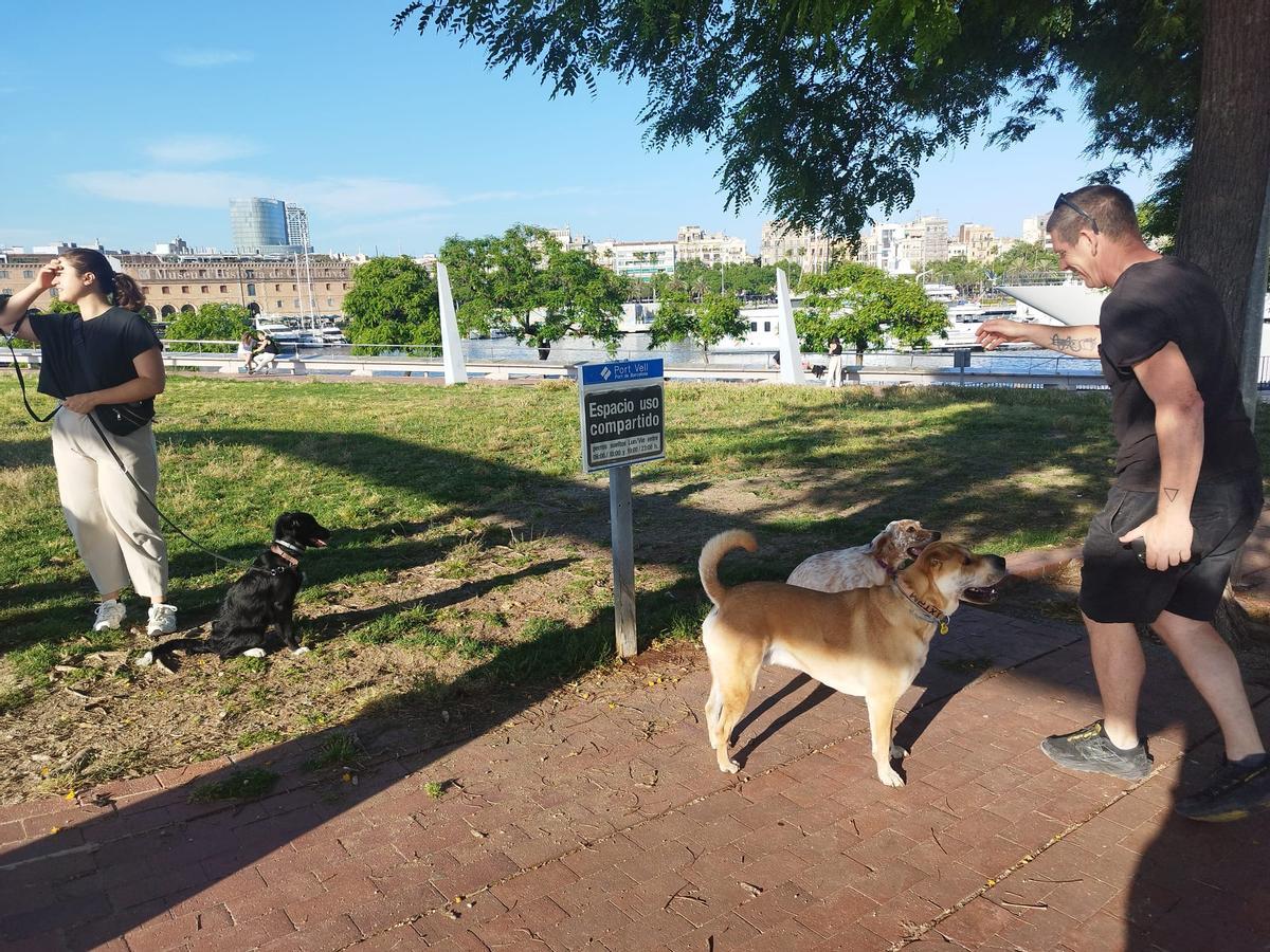 Varias personas juegan con sus perros junto a los carteles que colocaron para protestar