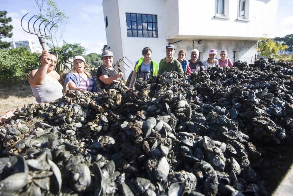 Mariscadores de O Burgo limpian parques privados