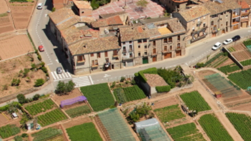 Vista aèria dels horts de Sant Fruitós de Bages