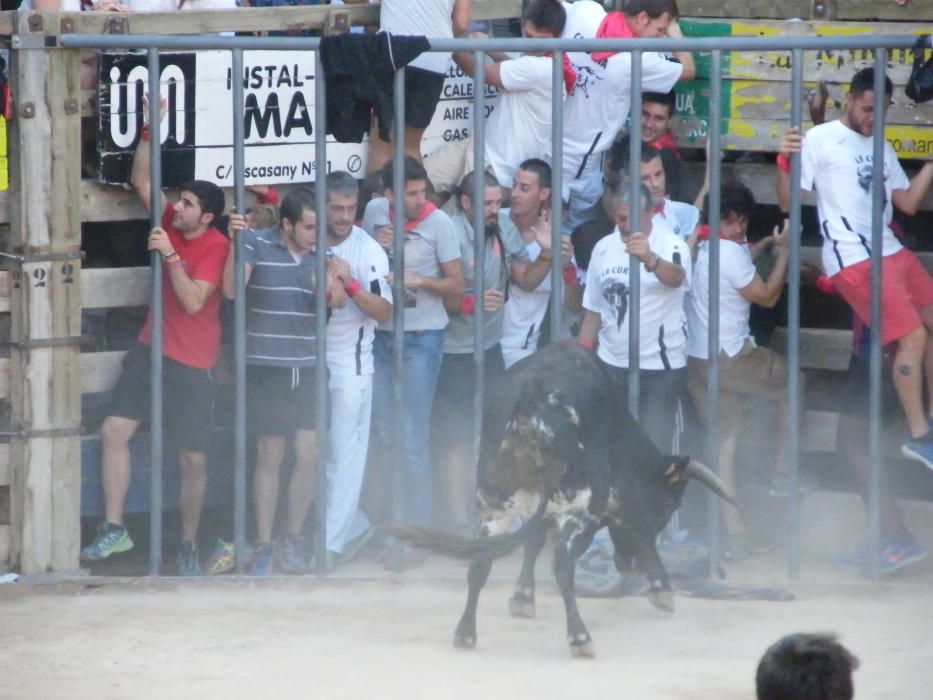 Corre de bou de Cardona (dilluns 12 de setembre)