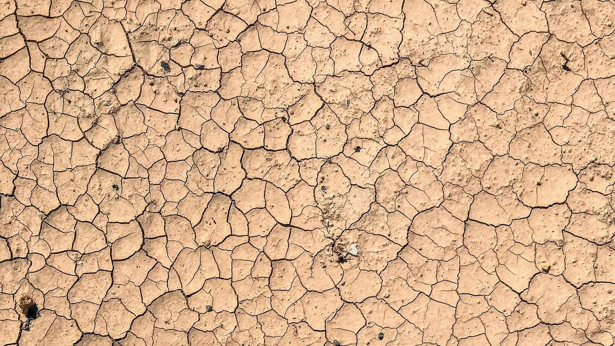 Qué es la bestia africana y por qué tiene mucho que ver con la subida de temperaturas en la península