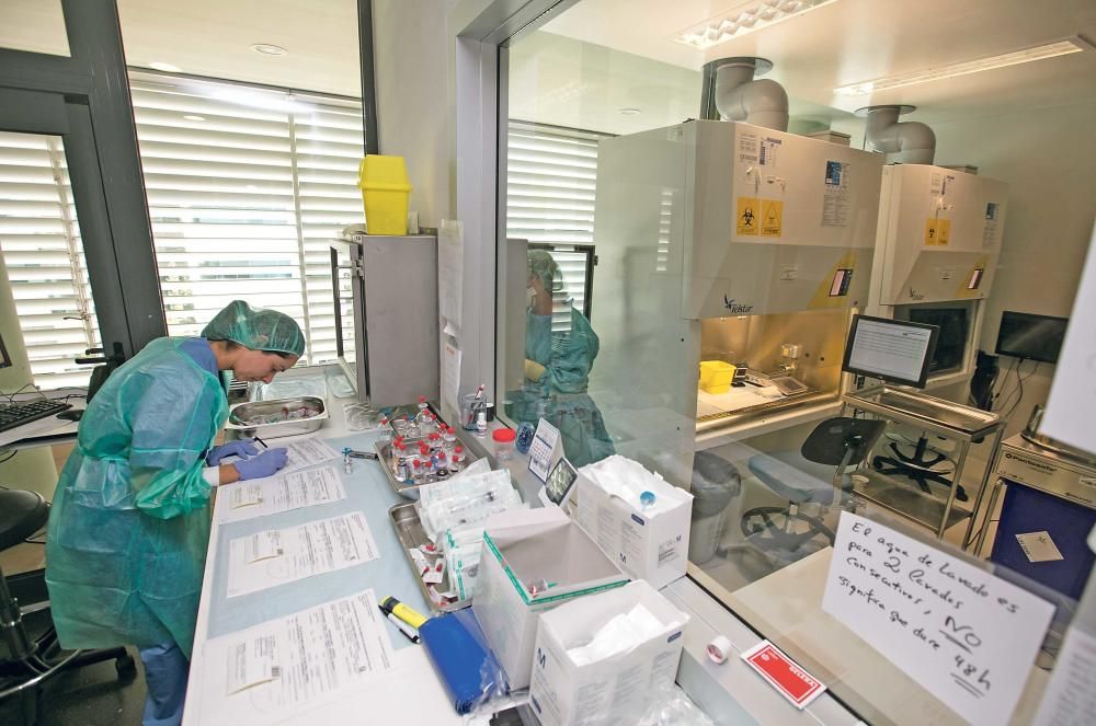 Sanidad, la farmacia más grande de Balears