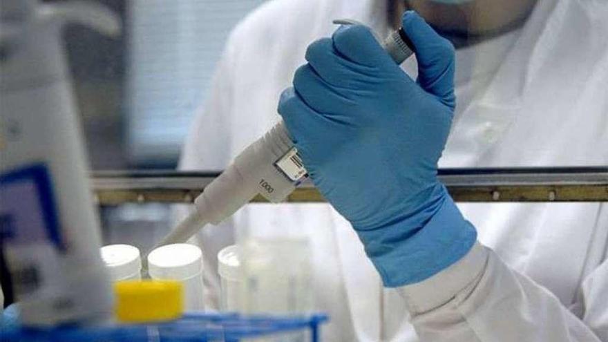 Investigadores de EEUU logran modificar genéticamente embriones humanos