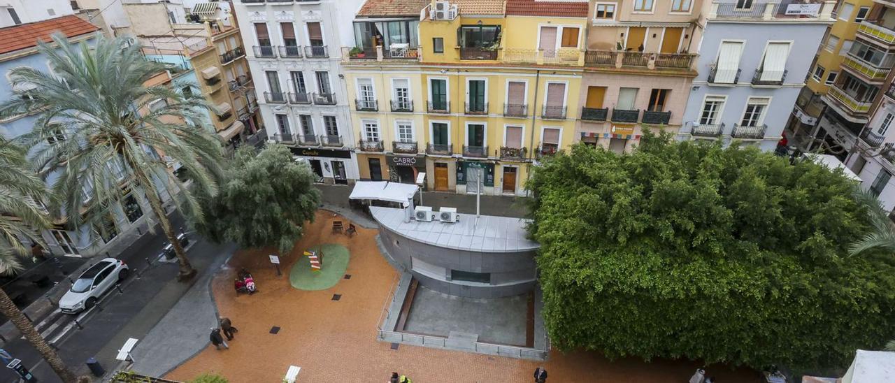 Visión aérea de los tres principales ejemplares de la Plaza Nueva: un olivo y dos grandes ficus. | HÉCTOR FUENTES