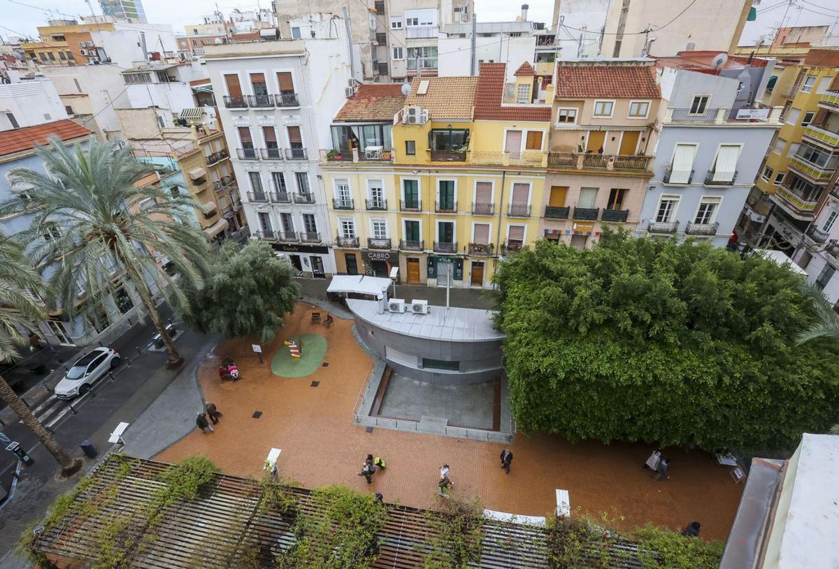 Visión aérea de los tres principales ejemplares de la Plaza Nueva: un olivo y dos grandes ficus. | HÉCTOR FUENTES