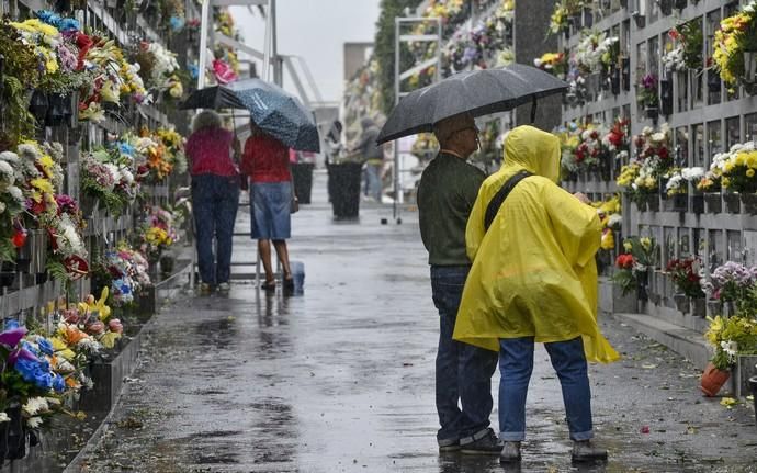 01/11/2018 LAS PALMAS DE GRAN CANARIA. Día de ...