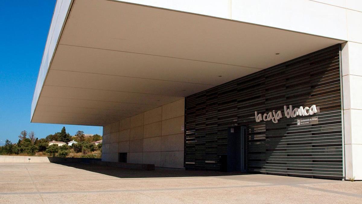 La Caja Blanca de Málaga acoge la muestra 'Arte', enmarcada en el programa  de ayudas a producción para jóvenes - La Opinión de Málaga