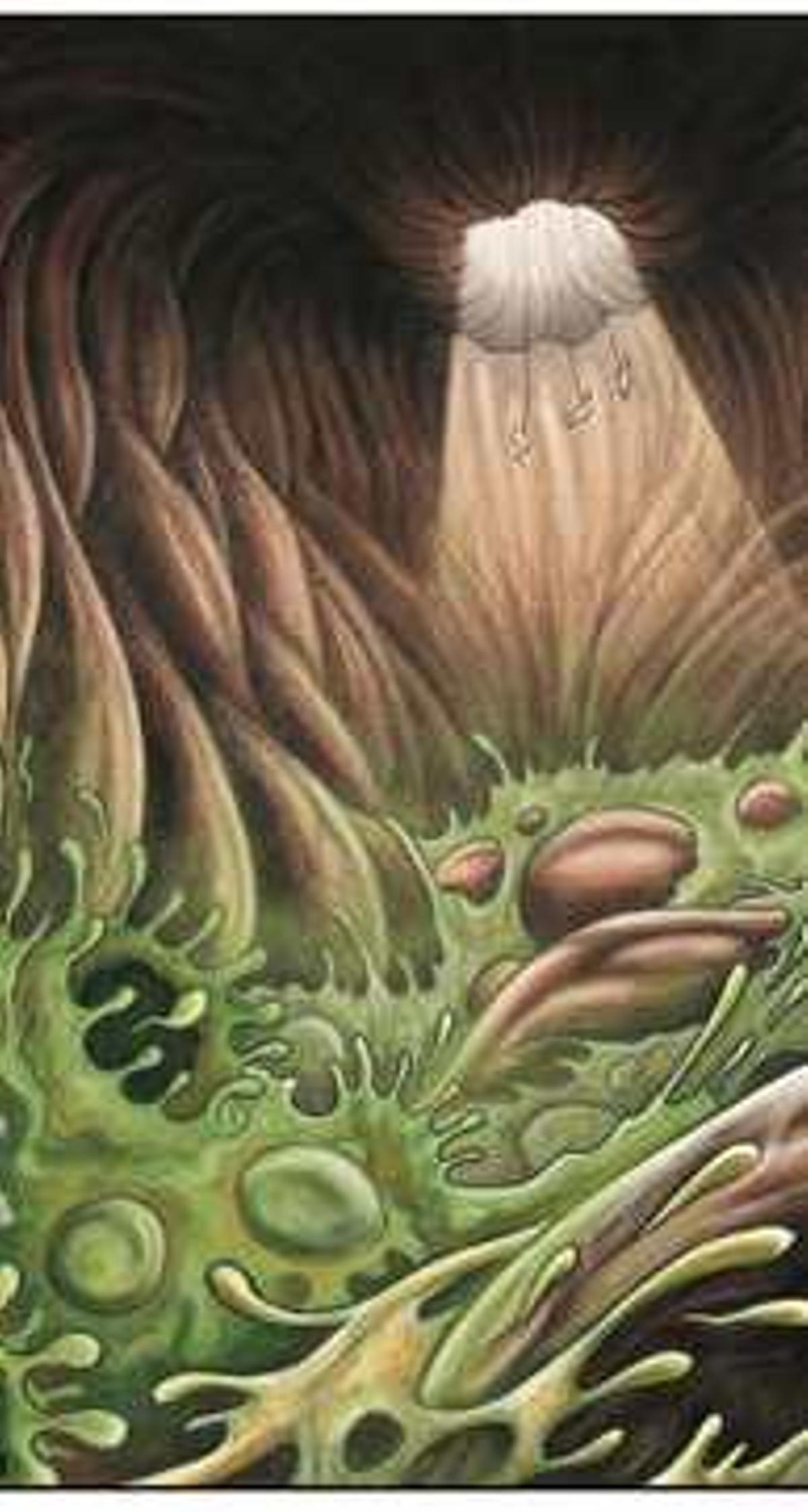 El dibujante pinosero Carles Esquembre, y algunas viñetas de The body.