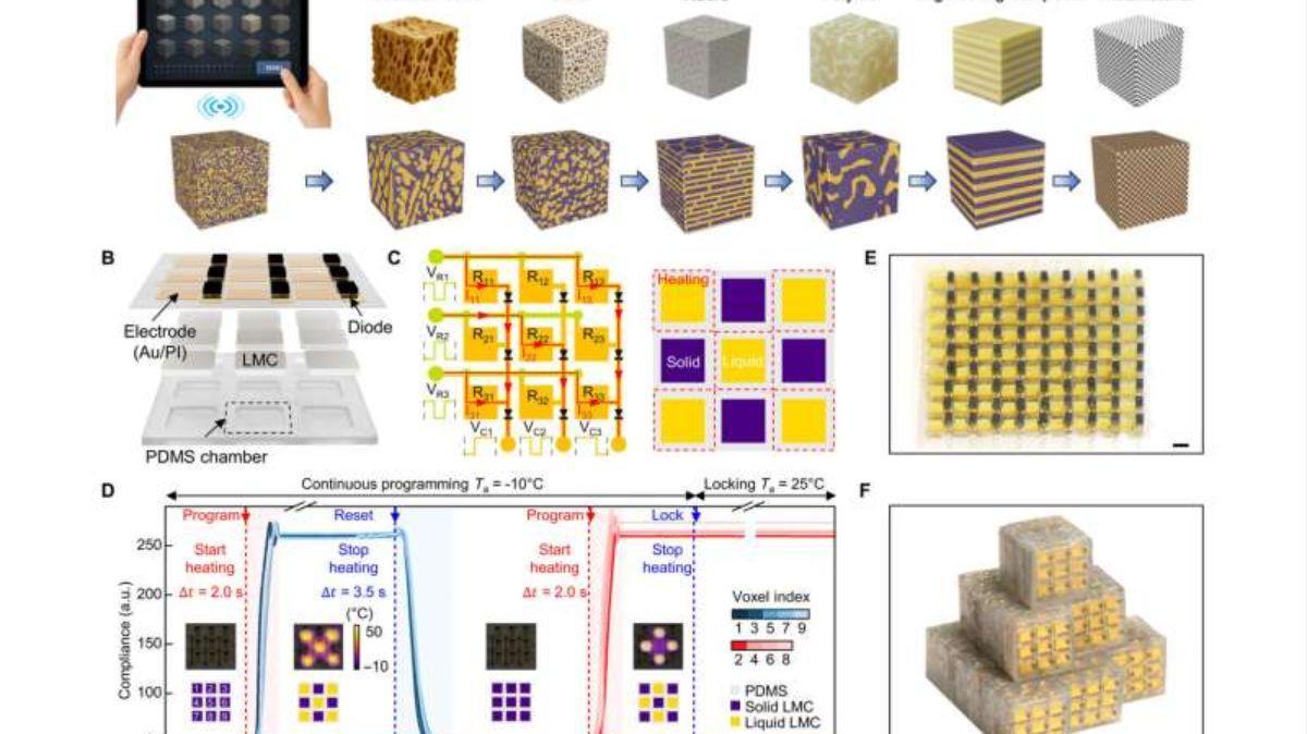 Material inteligente para robótica: bloques ensamblables que cambian su rigidez.