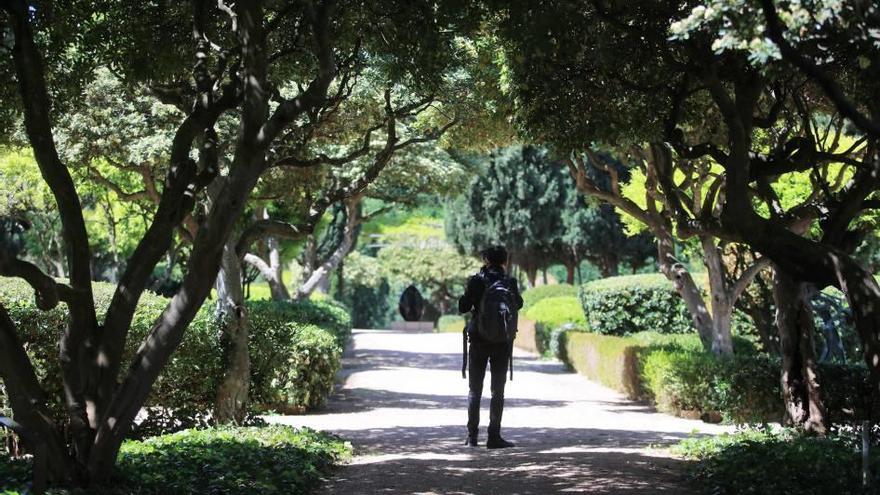 Los jardines del palacio de Marivent se abrirán al público a partir del próximo martes.