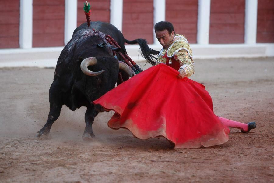 Toros en Zamora