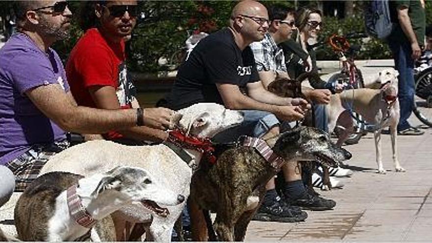 Algunos de los dueños que se acercaron a la concentración, con sus mascotas.