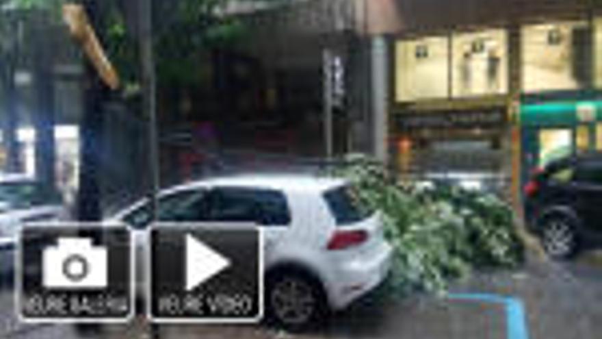 Una tempesta curta i intensa fa caure part d&#039;un arbre a Girona