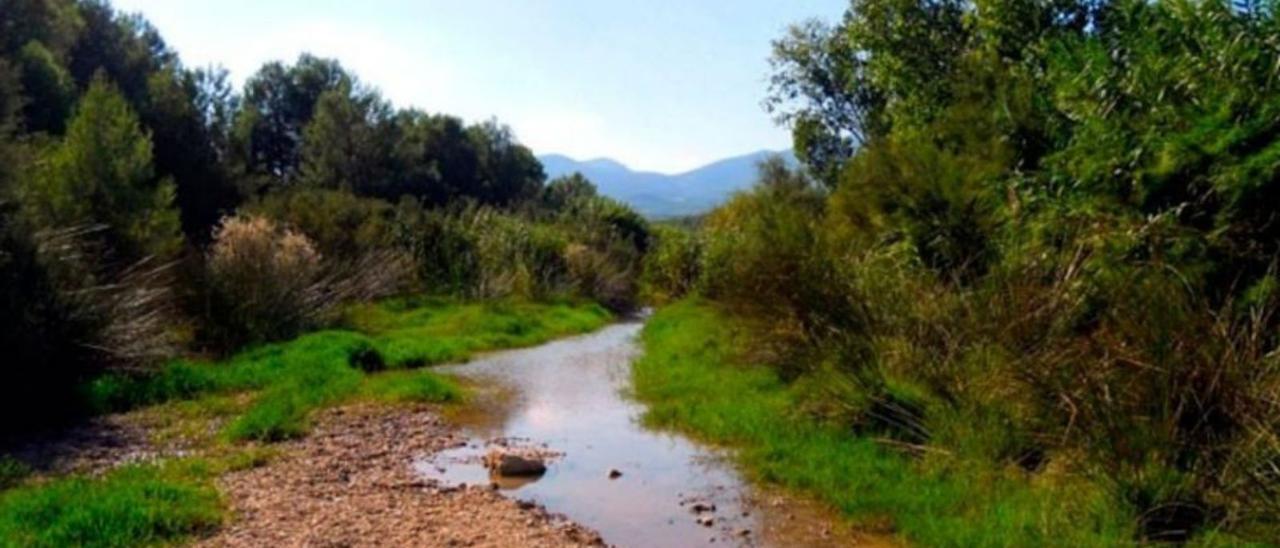 Río Corneros, uno de los cauces más contaminados.  | ECOLOGÍA ACUÁTICA/UMU