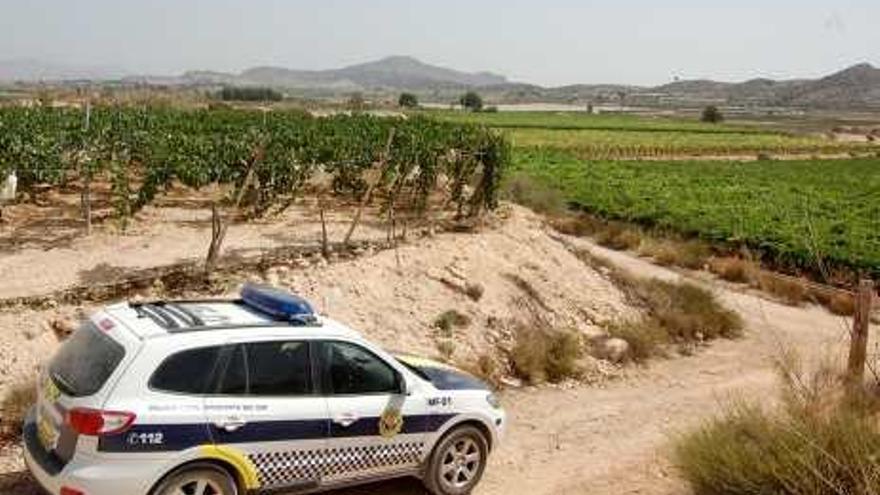 Una patrulla de la Policía Local vigilando las viñas.