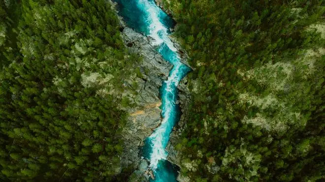 El "Amazonas español" se encuentra dentro de una Reserva de la Biosfera de Huelva