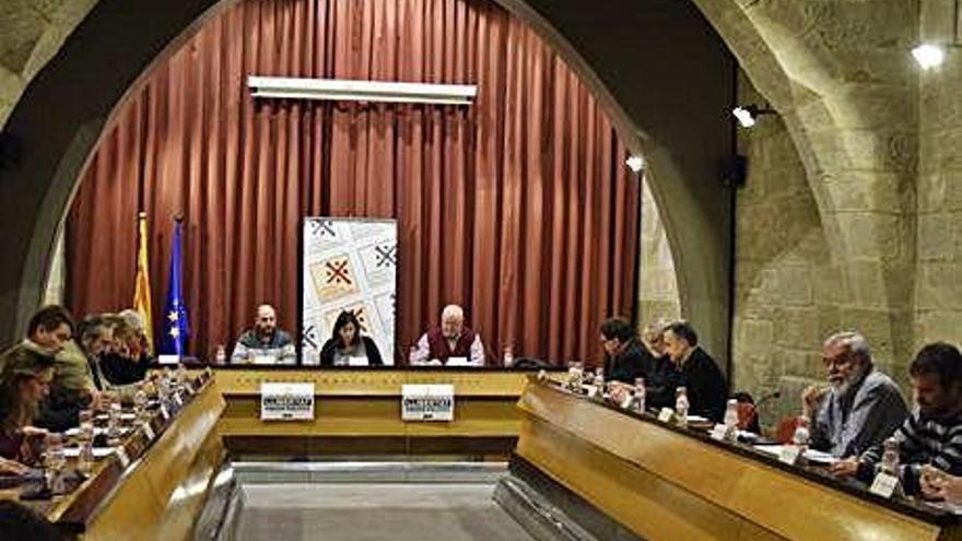 Sessió plenària del Consell Comarcal, dijous