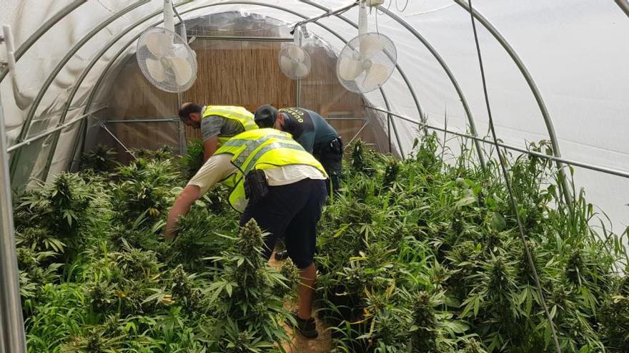 Desmantelan dos invernaderos de marihuana con 128 plantas ocultos en un chalé de Xàbia