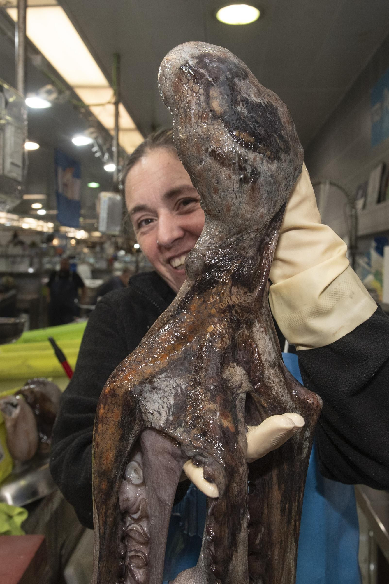 El pulpo gallego vuelve a los mercados de A Coruña tras tres meses de veda