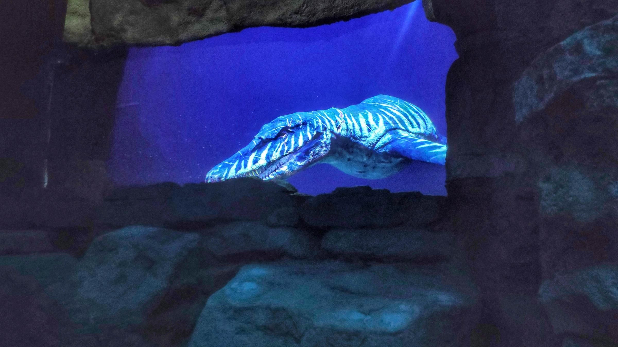 Sala ACUARIO nuevo recorrido temático Dinópolis MAR JURÁSICO.jpg