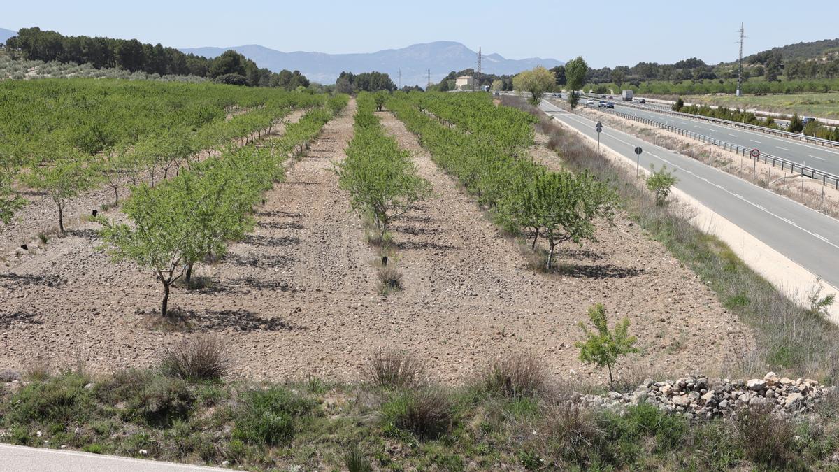 Terrenos donde se plantea el polígono Alcoy Sur, junto a la linde con Ibi, municipio al que pertenece ya la masía que se aprecia al fondo de la imagen.